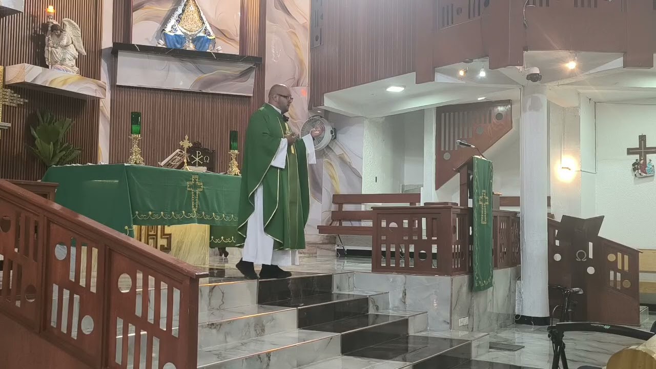 Evangelio y Homilía de hoy.