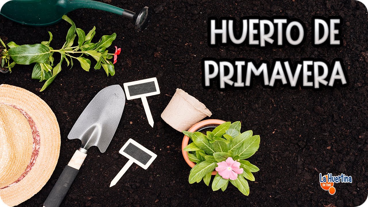 Como Planificar La Huerta De Primavera Para Cultivos De Éxito || La Huertina De Toni