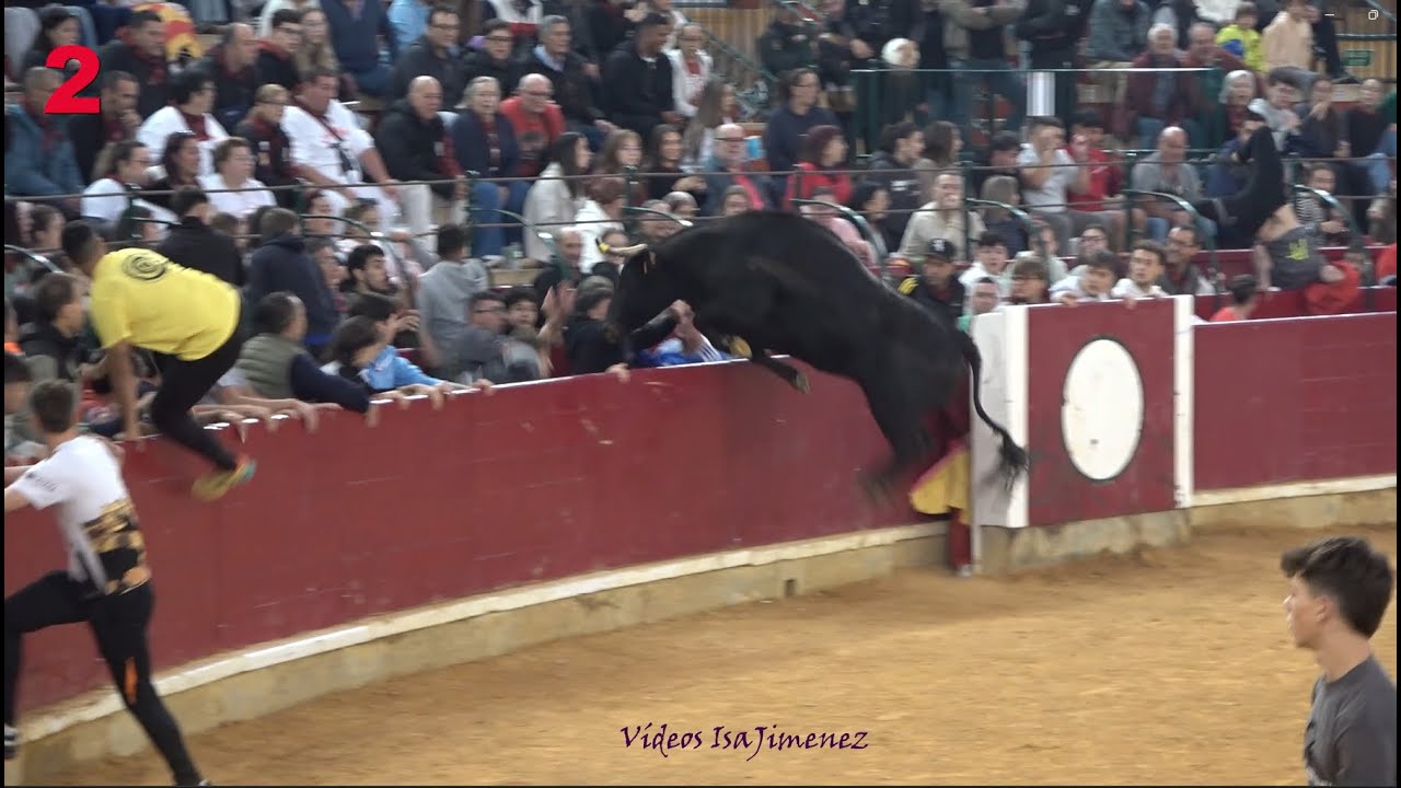 Impresionante actuación de la vaca Nº 45  - EXTREMEÑA de RAÚL IZQUIERDO en ZARAGOZA