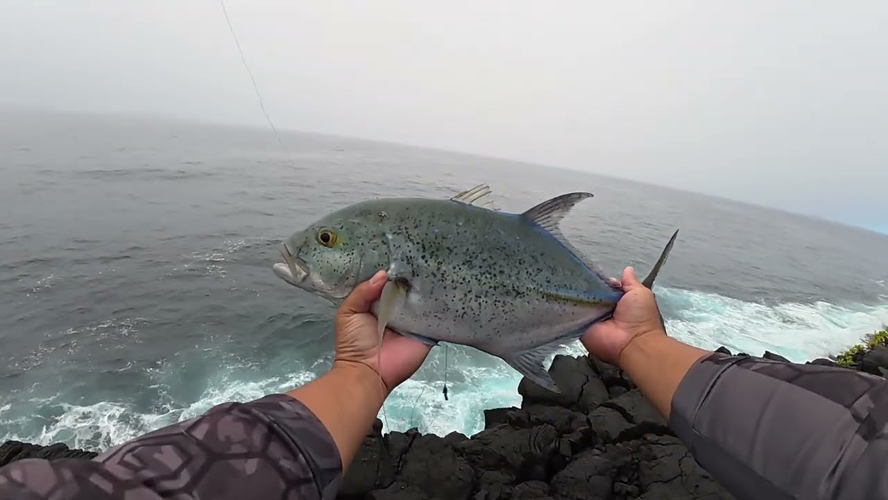 Big Island Fishing / Strictly Shore Casting \ Oama Fun