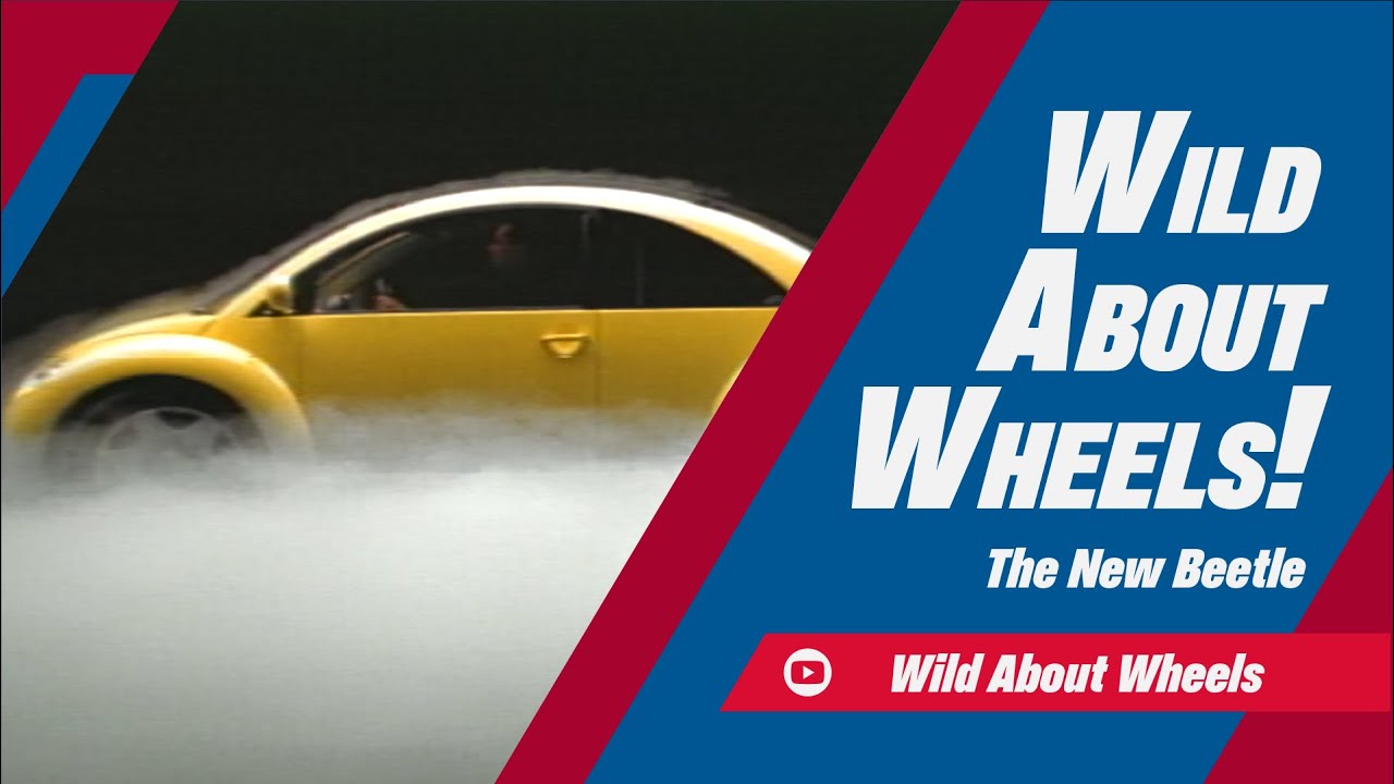 The New Beetle | Wild About Wheels