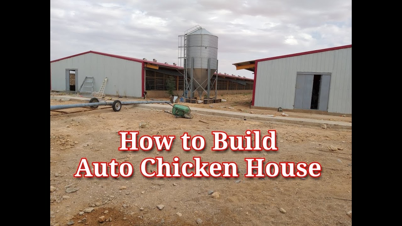 How to Build an auto chicken House I How to make an automatic Chicken Farm