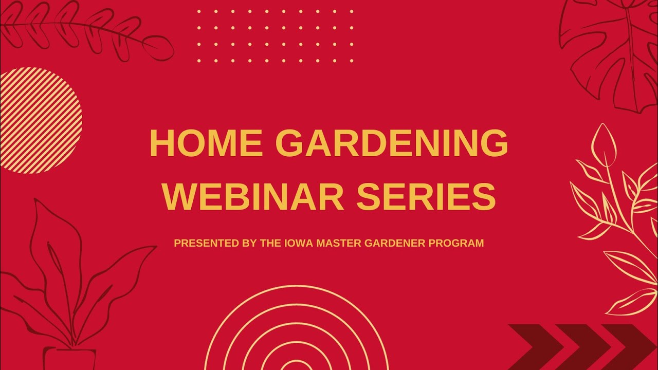 Home Gardening Webinar 2024: Grape Pruning and Canopy Management