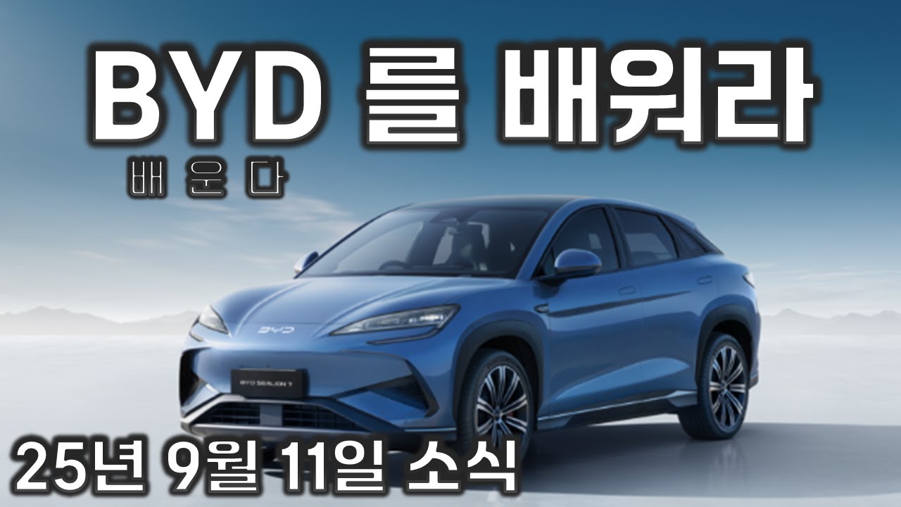 배터리 가격의 진실 ! 테슬라 ? 현대기아 ? BYD 를 배워라 !