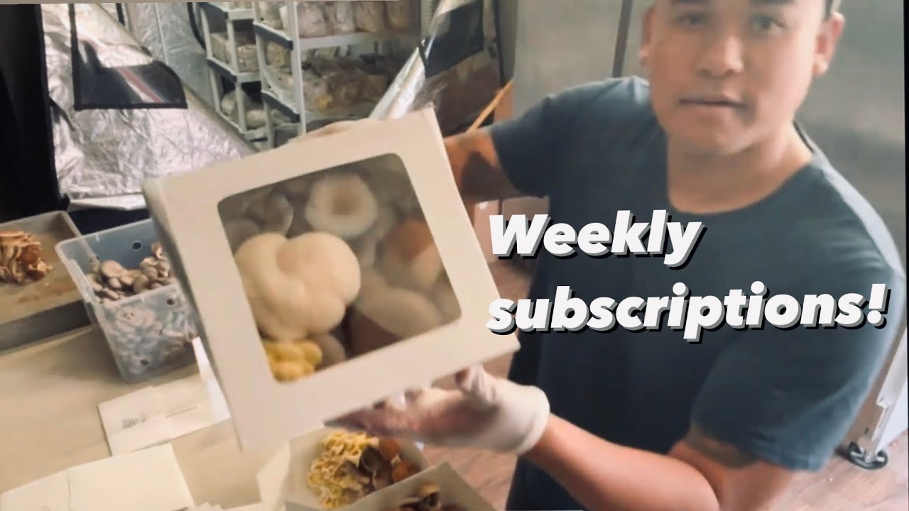 Packaging subscription boxes!