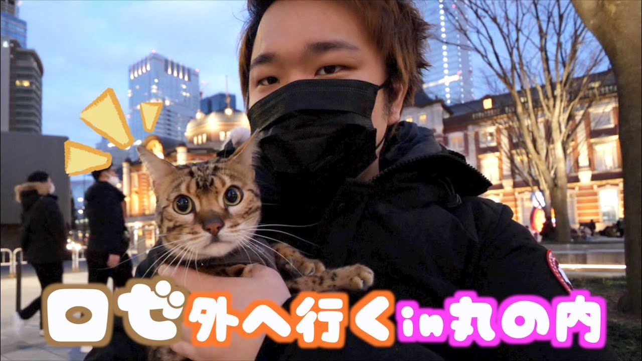 年末なのでロゼと一緒に丸の内お散歩したら助けを求めすぎて大変！！！