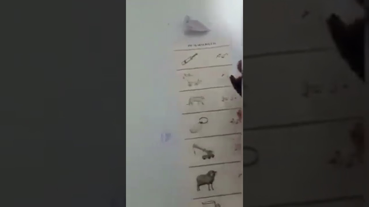 PTI 17 seats in Punjab