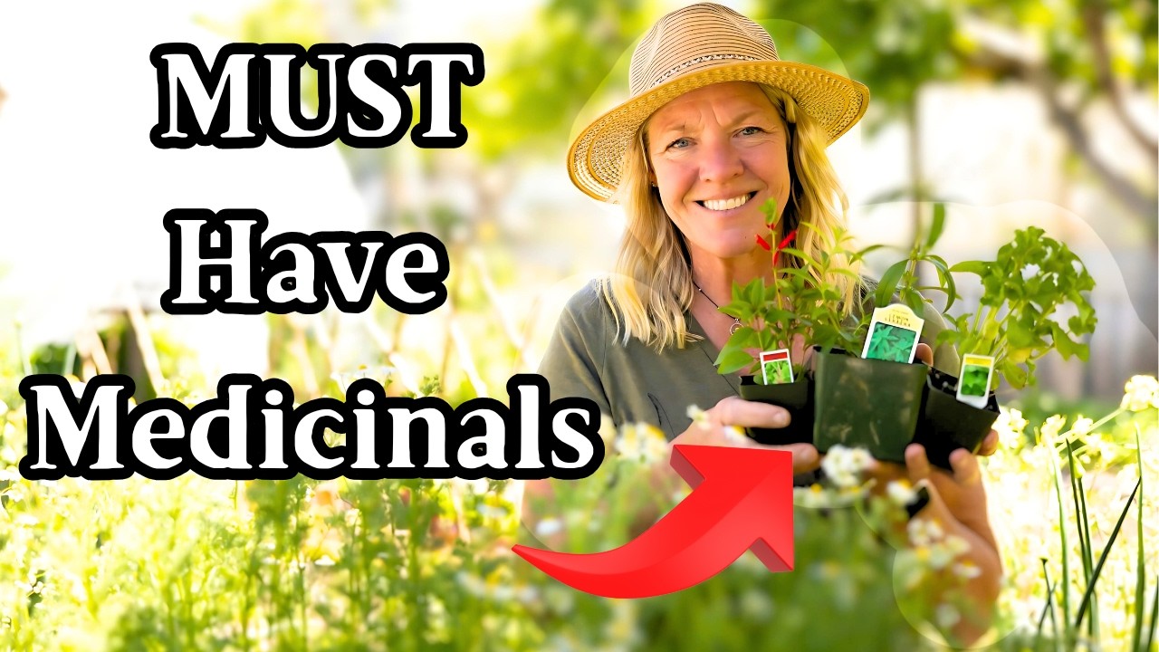 10 Must-Have Herbs That Every Homestead Needs