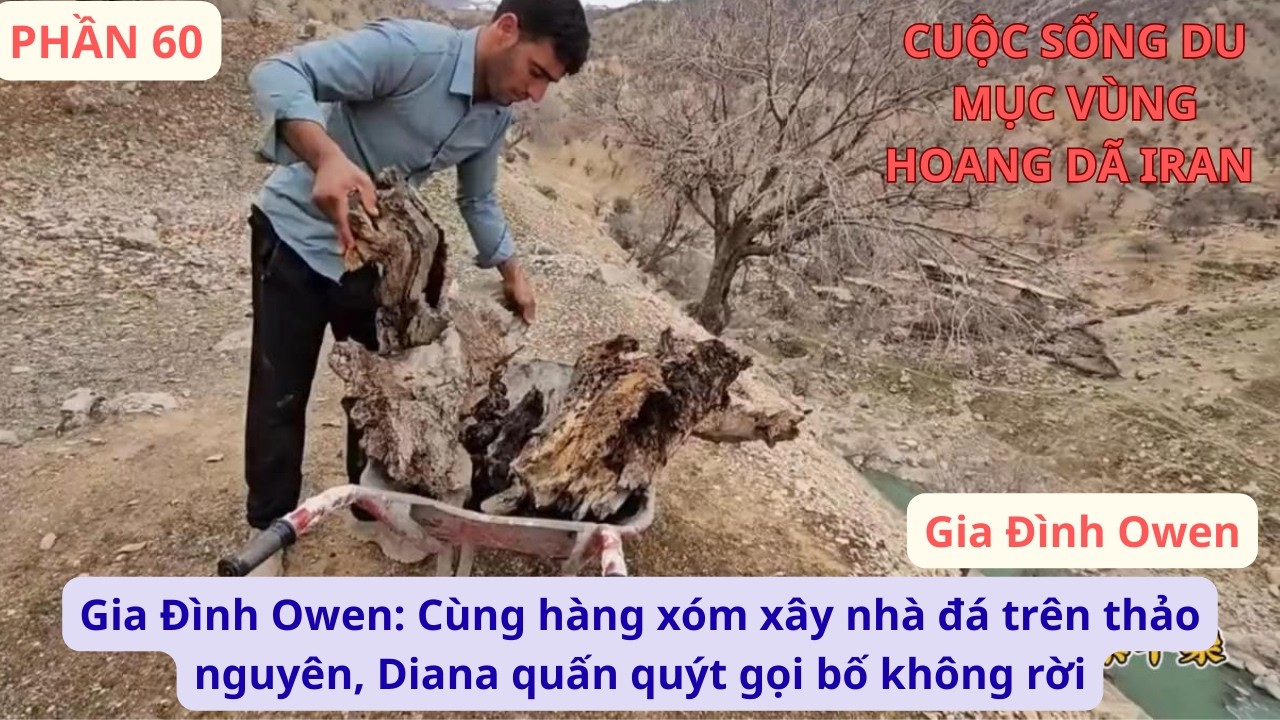 Gia Đình Owen: P60 Cùng hàng xóm xây nhà đá trên thảo nguyên, Diana quấn quýt gọi bố không rời