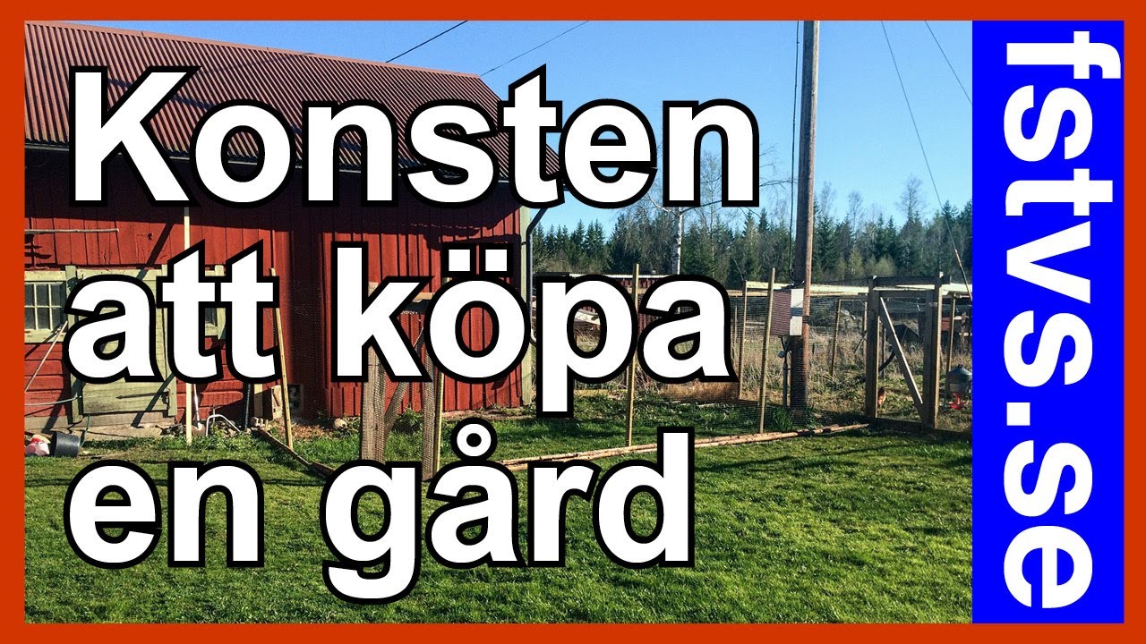 Så väljer du rätt gård för ditt lantliv