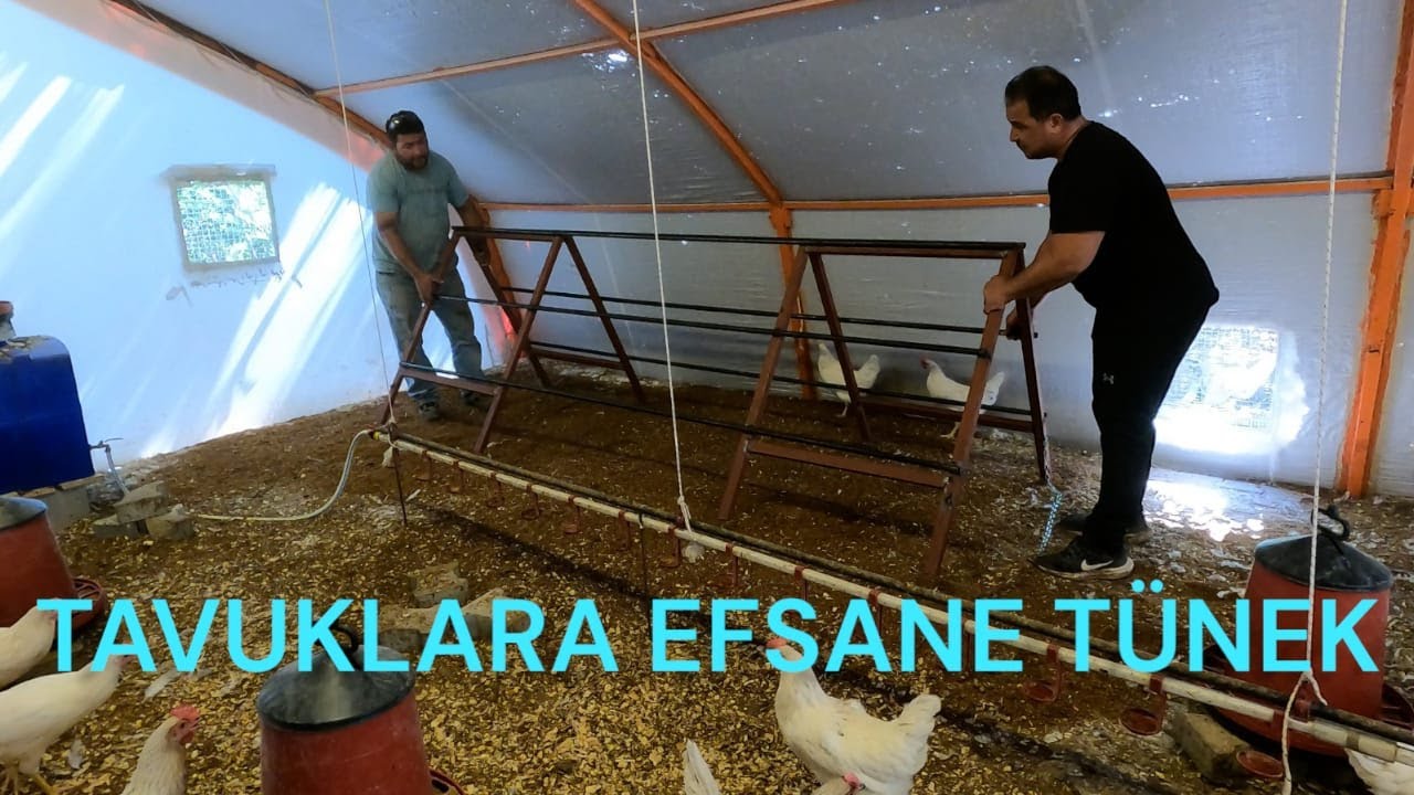 TAVUKLARA EFSANE TÜNEK YAPIMI.:!/HARCARSAN PARAYI YAPARSIN KALİTEYİ.