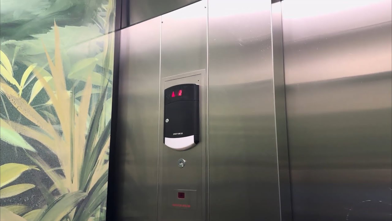 Красивый гидравлический лифт Schindler 330A в кафе Rainforest в Лас-Вегасе, штат Невада.