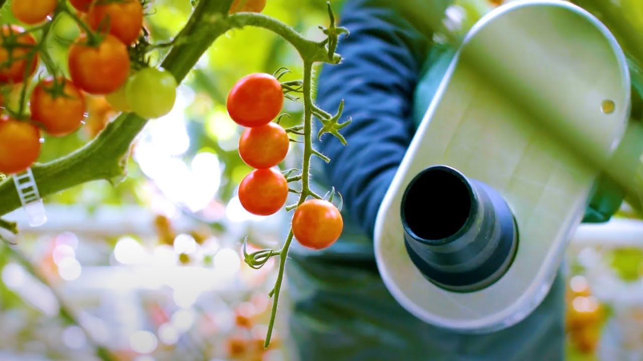 Four Growers: Robots that Feed the World