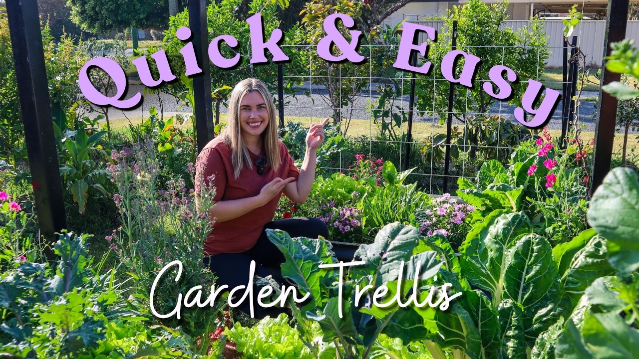 VERTICAL GARDENING 🌿 How I Doubled My Growing Space with These Simple Trellises