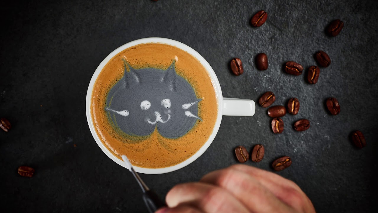 MK Cafe Fresh Latte Art - Czarny Kot