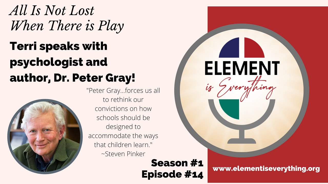 All Is Not Lost When There Is Play - Dr. Peter Gray