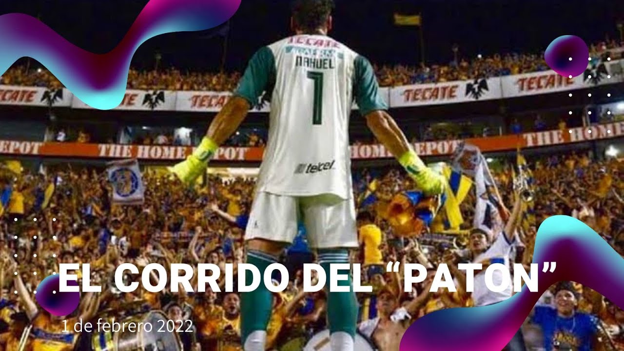 El corrido del “Paton” #nahuelguzman #tigresoficial #ligabbvamx #fyp #mexico
