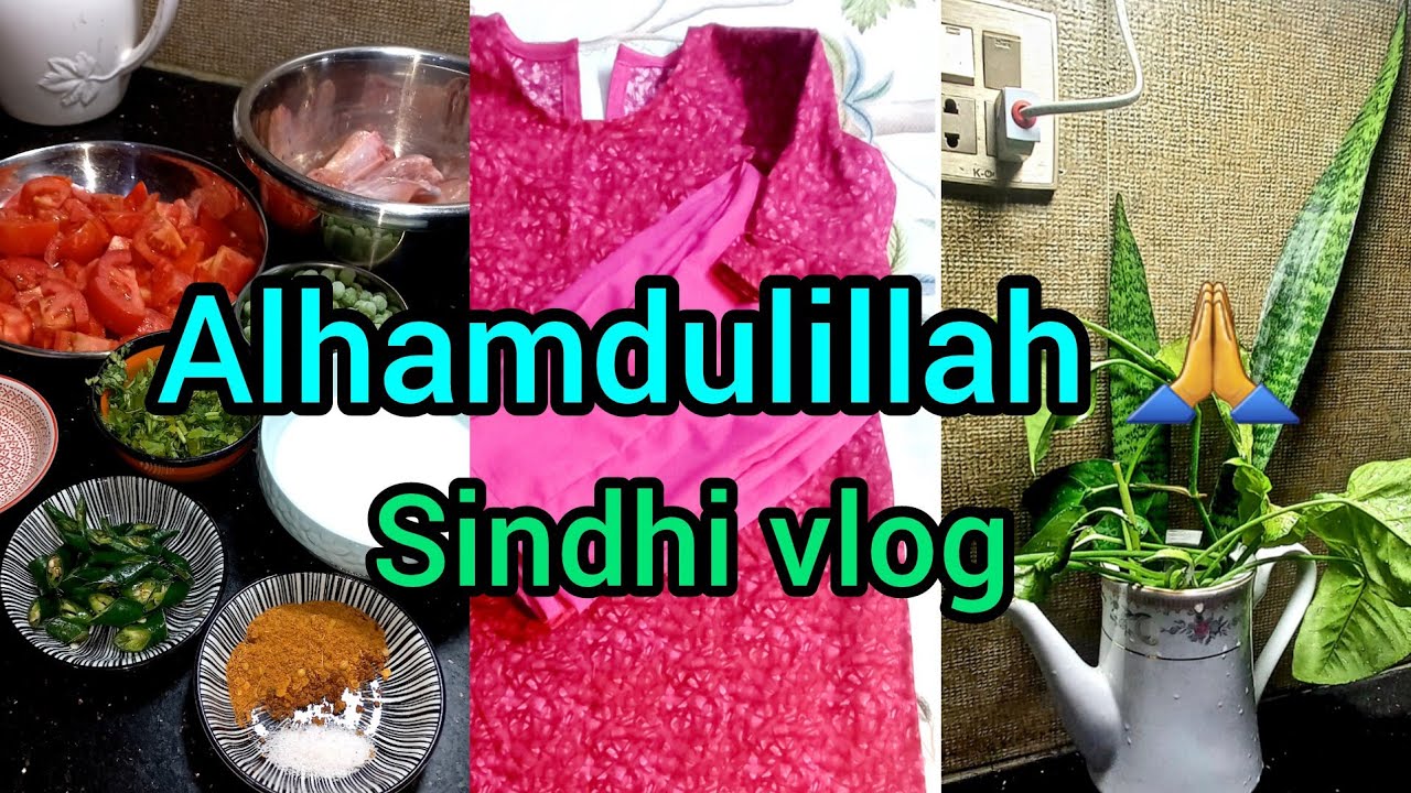 Alhamdulillah 🙏/my daily routine 🥘🫕🪣🪴✂️🪡🧵/sindhi vlog 💕 