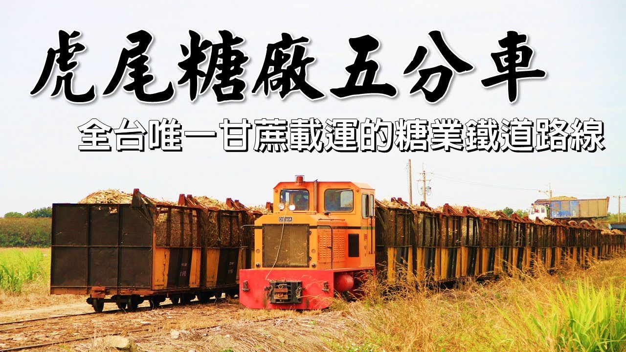 《特別企劃》虎尾糖業鐵道探查｜馬公厝線原料列車運行紀錄 全台唯一甘蔗載運的糖業鐵道路線