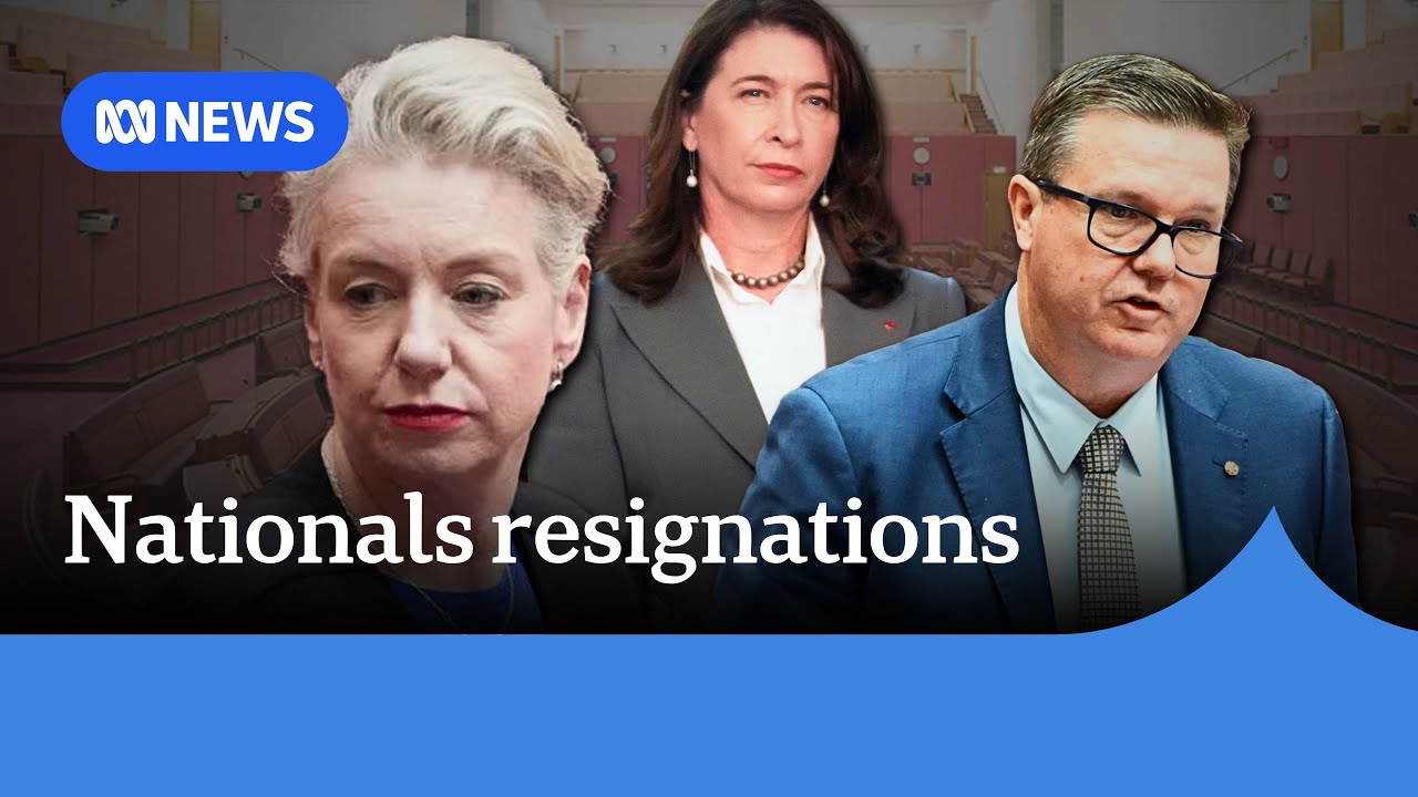 Senior Nationals quit frontbench after defying shadow cabinet on hate speech laws | ABC NEWS