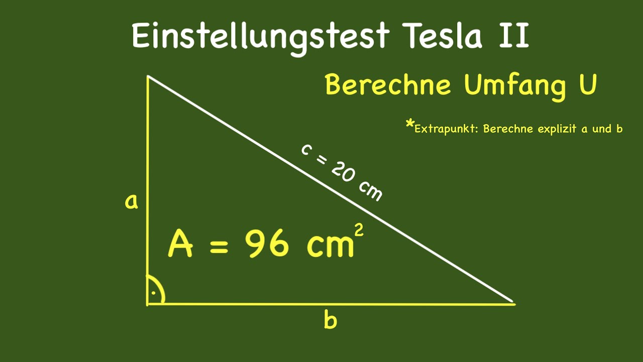 Einstellungstest Tesla II