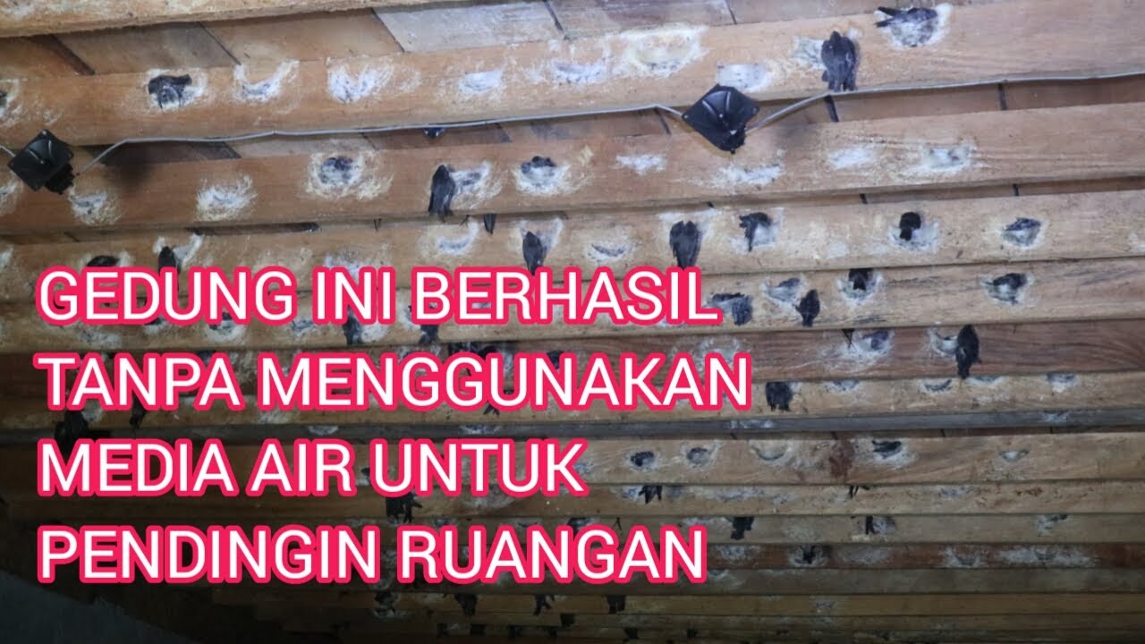 GEDUNG WALET INI BERHASIL TANPA MENGGUNAKAN MEDIA AIR UNTUK MENDINGINKAN SUHU RUANGAN!!!