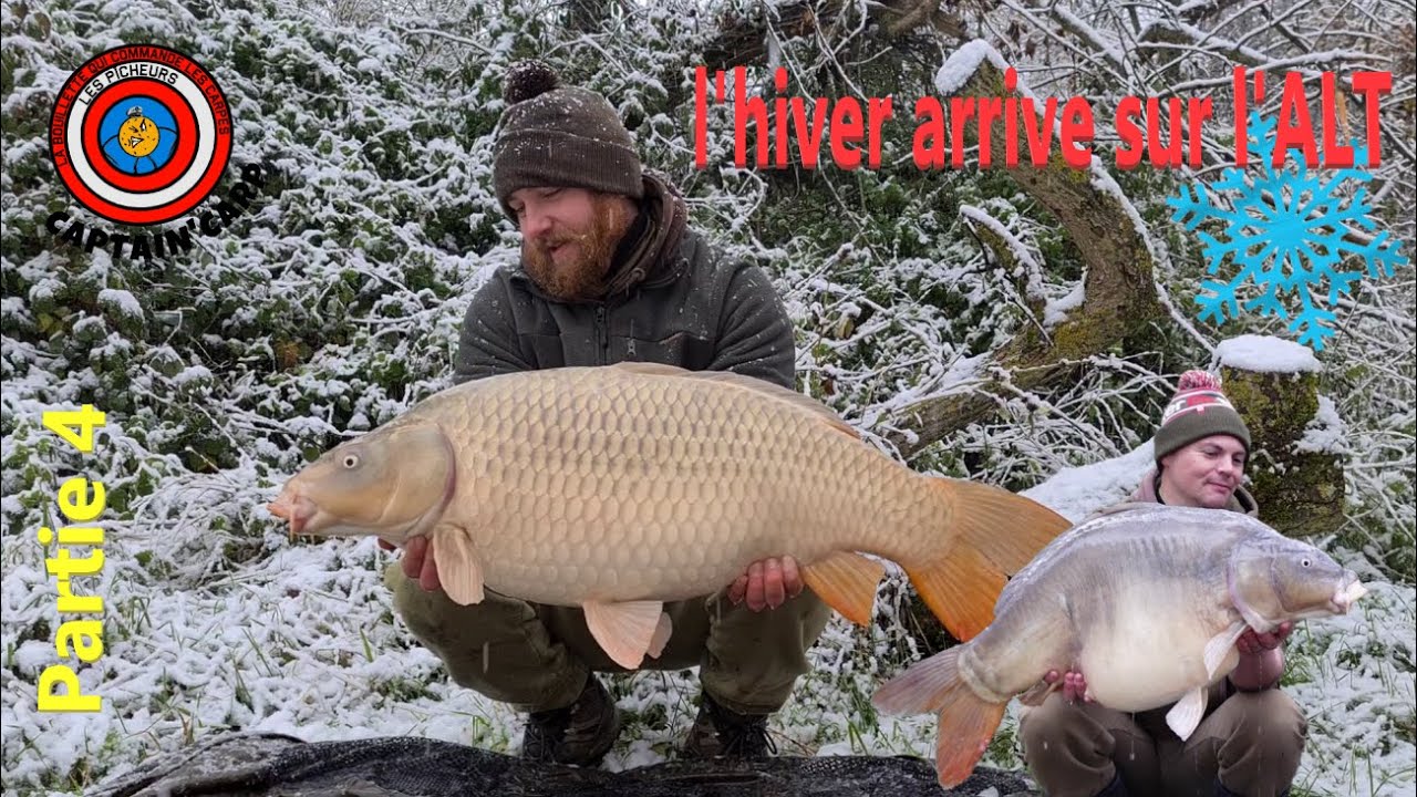 L'ALT en hiver bon ou mauvais*carpe sous la neige*