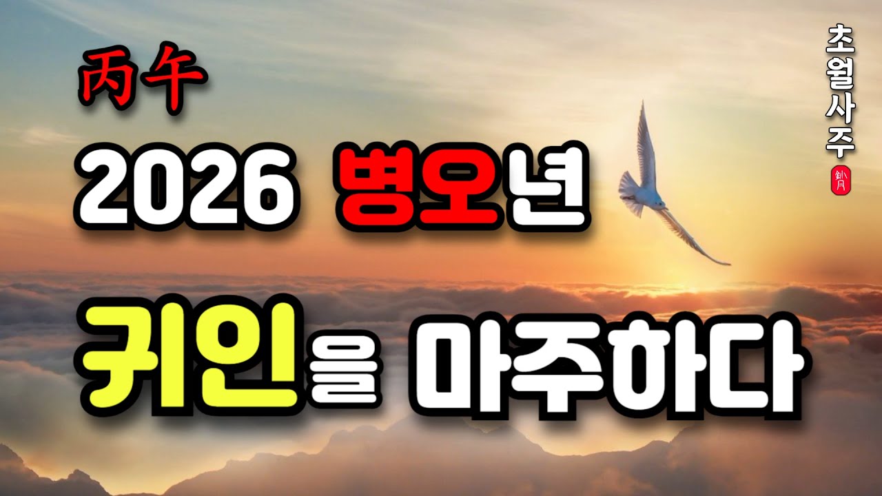 [2026년 운세] 병오년(丙午年), 귀인을 마주하다!