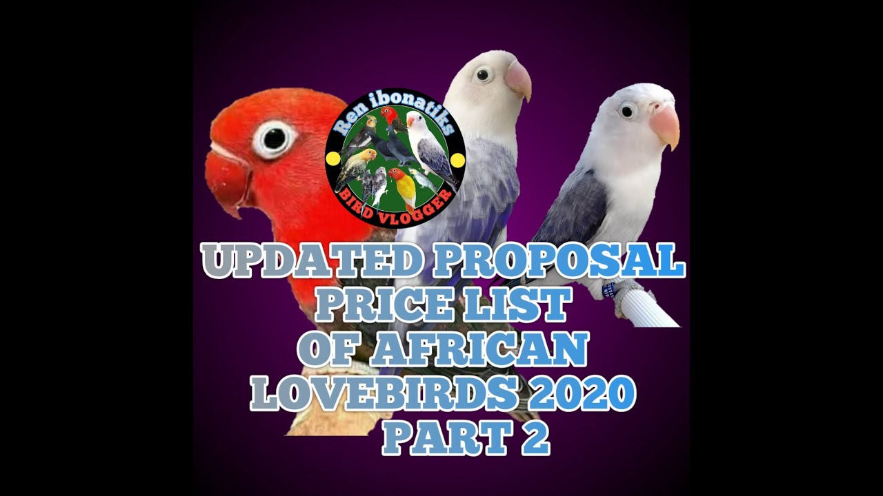 UPDATED PROPOSAL PRICE LIST OF AFRICAN LOVEBIRDS OCTOBER 2020.. LOWMUTE TO HIGH END MUTATIONS.