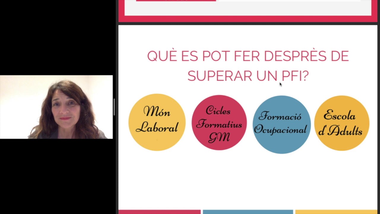 Programa de Formació i inserció (PFI-PTT)