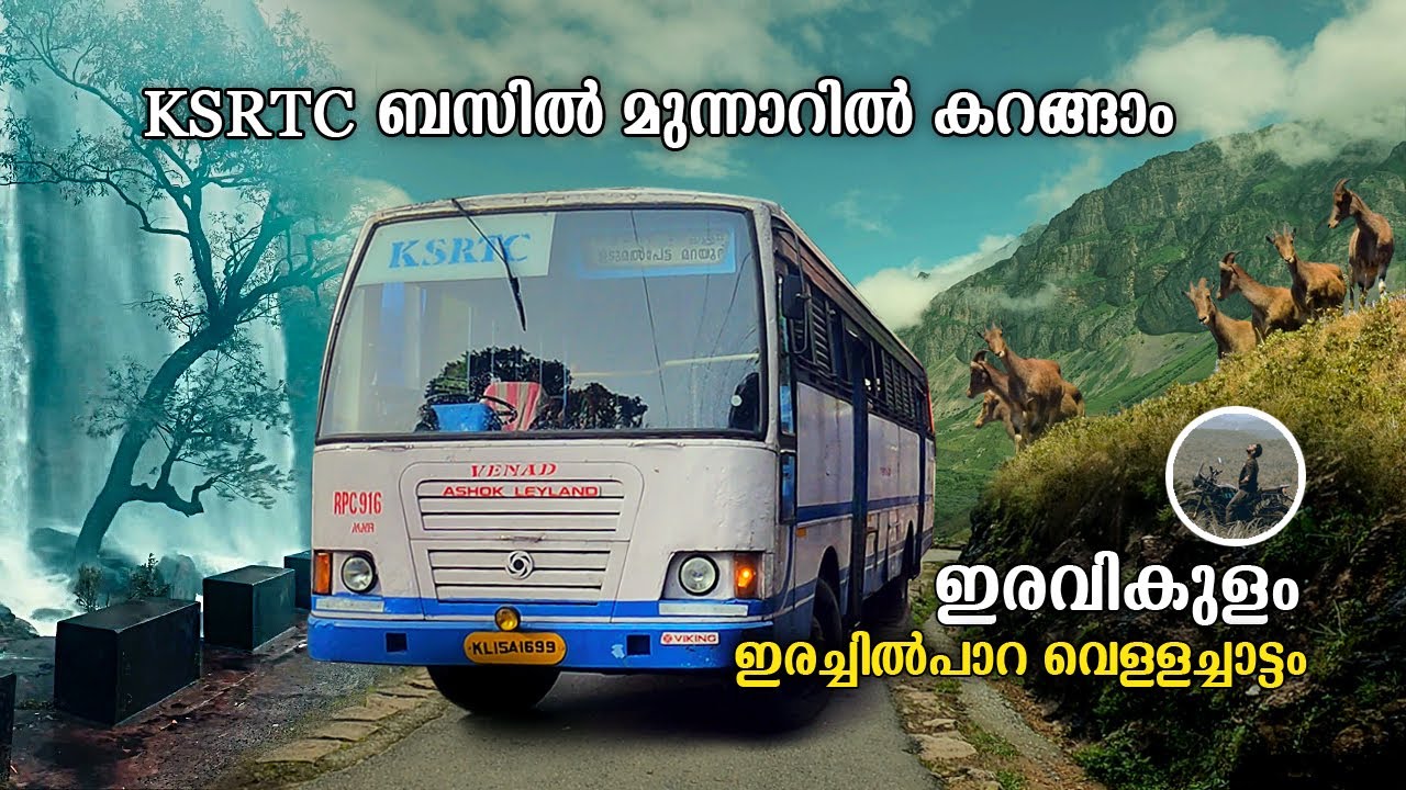 KSRTC ബസിൽ മുന്നാറിൽ കറങ്ങാം | Eravikulam National Park Munnar | Erachilpara Waterfalls | free20