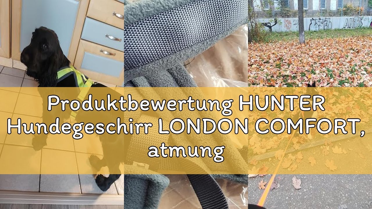Produktbewertung HUNTER Hundegeschirr LONDON COMFORT, atmungsaktives 3D-Mesh, 2-fach verstellbar, Si
