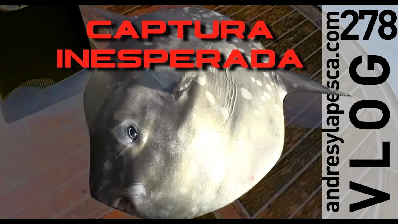 PESCA INESPERADA