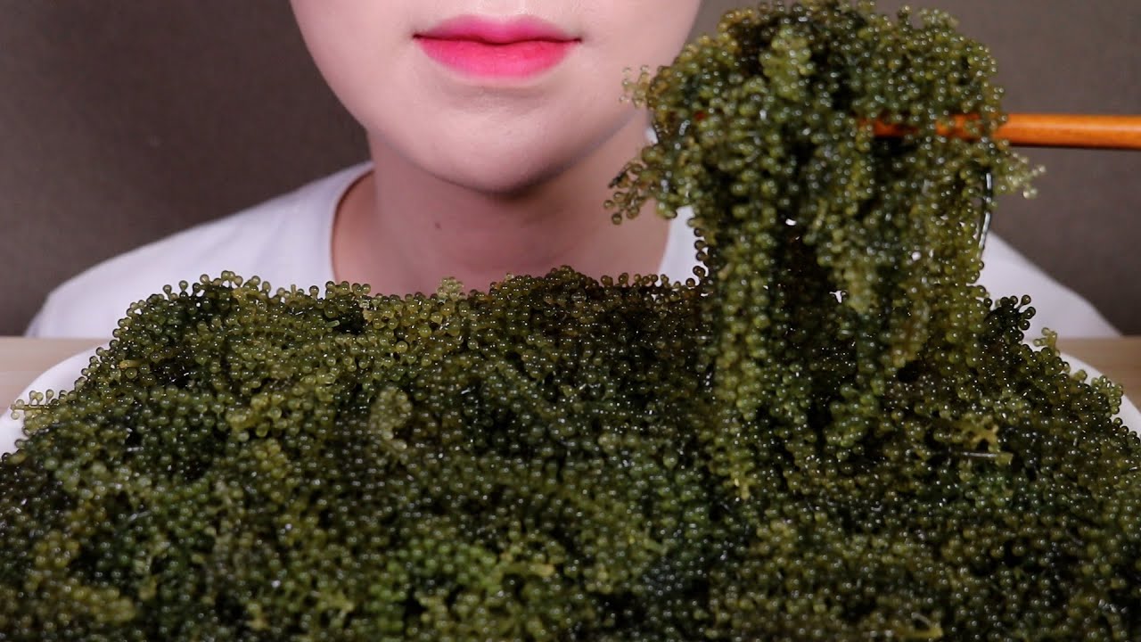 바다포도 먹방 Sea Grapes MUKBANG