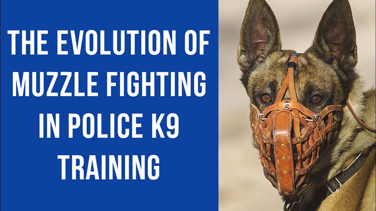 The Evolution of Muzzle Fighting in Police K9 Training