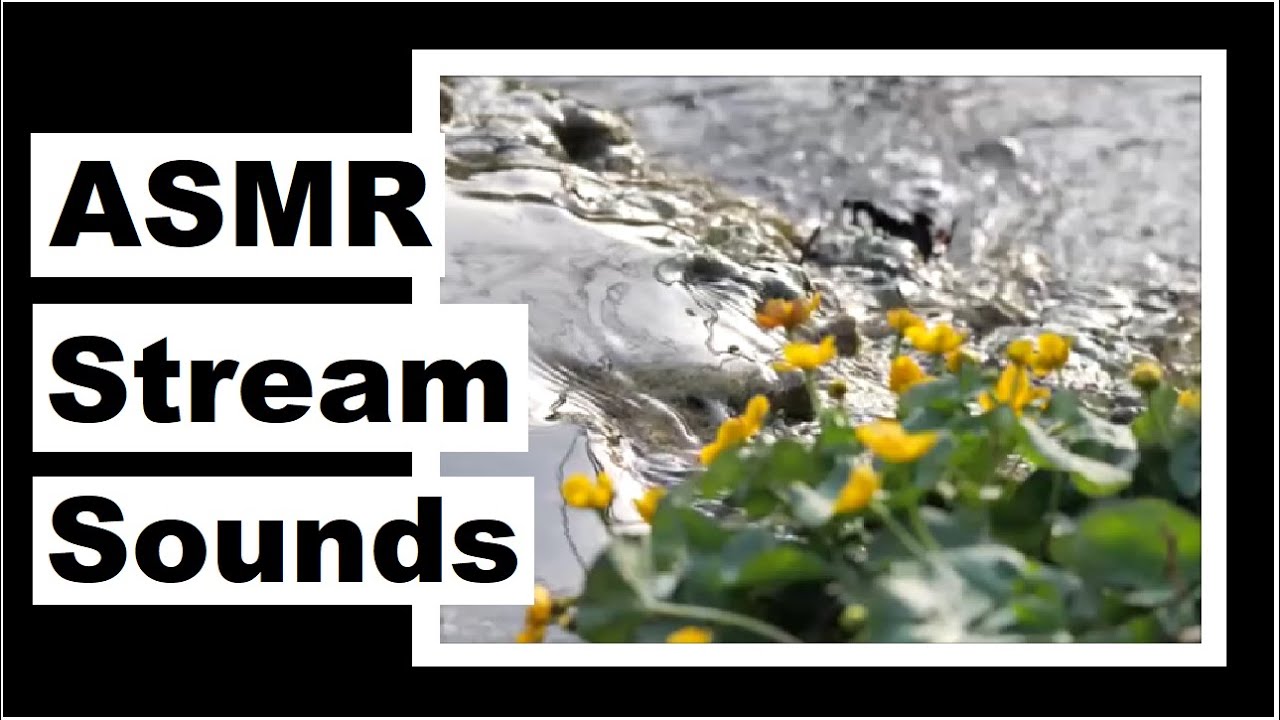 Stream Sounds - No Talking - ASMR