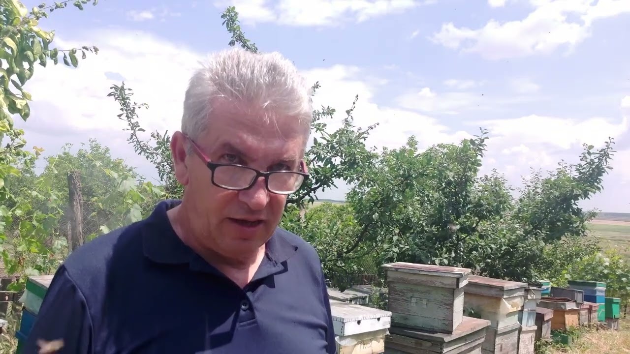 Botci de schimb linistit sau de roire,ce parere aveti?