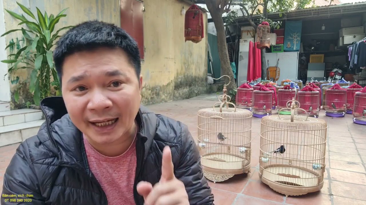 nguyên nhân chòe than (ngoái ngửa, lộn cầu) và cách khắc phục***