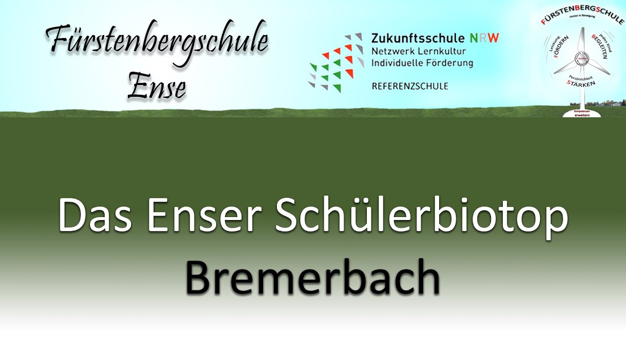 Das Enser Schülerbiotop Bremerbach