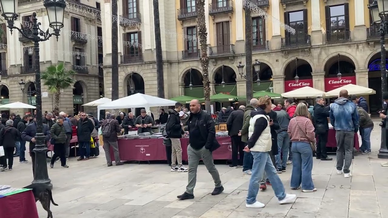 Mercadillo de la Plaza Real en el Día del Galgo.