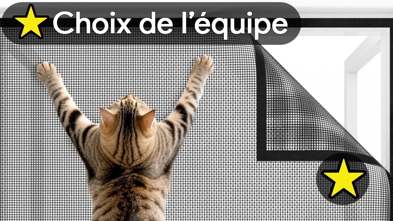 🔴 TOP 3 MOUSTIQUAIRE SOLIDE POUR CHAT 2025 🐱
