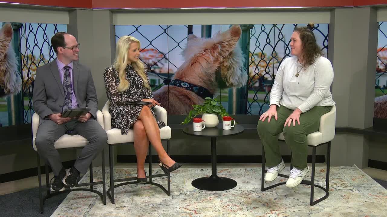 News4 Morning Mingle | What to do with pets while you travel