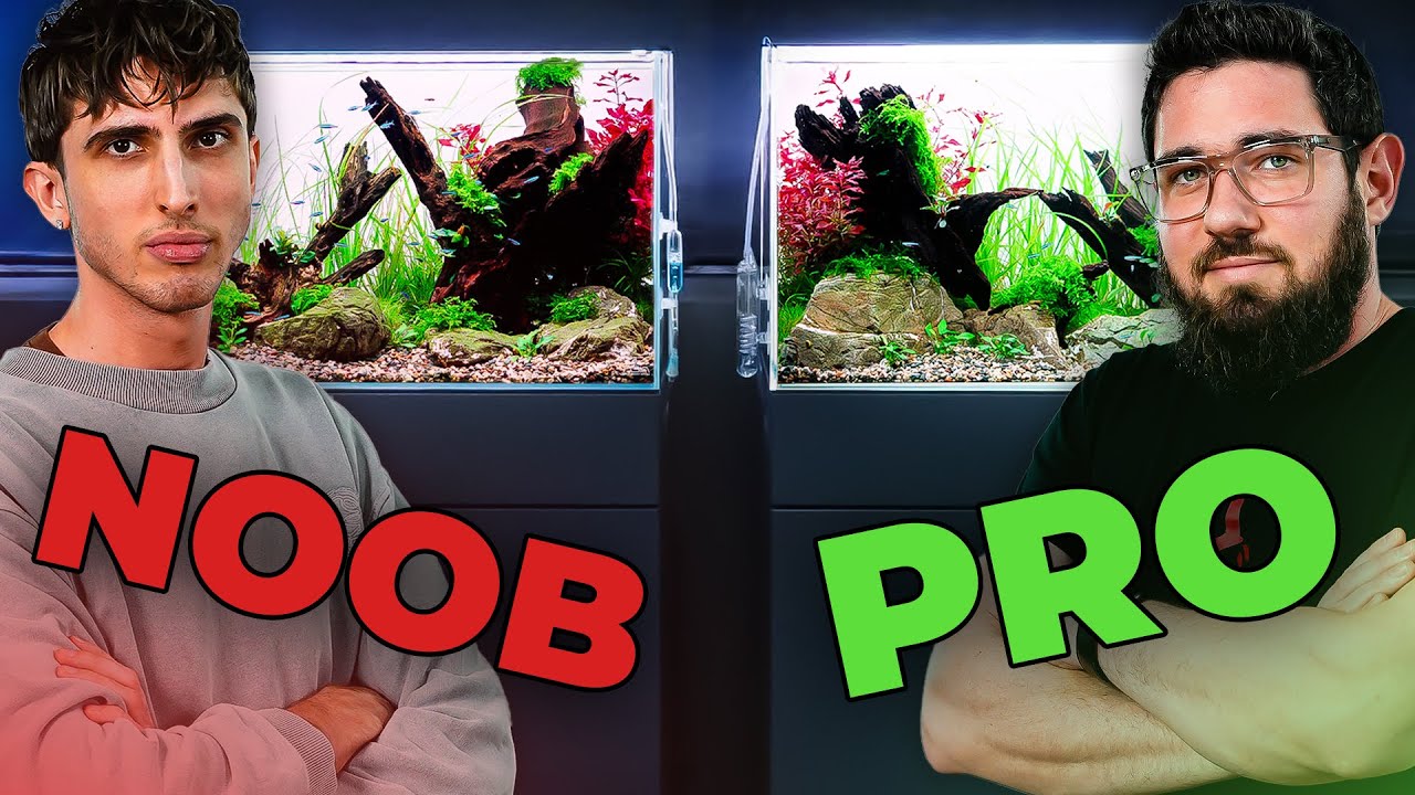 AMATEUR & PRO Build The SAME Planted Aquarium (Part 2)