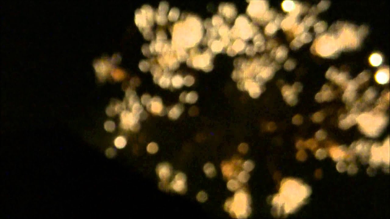 Hunde Übungs-Video Feuerwerk - Schussangst beheben