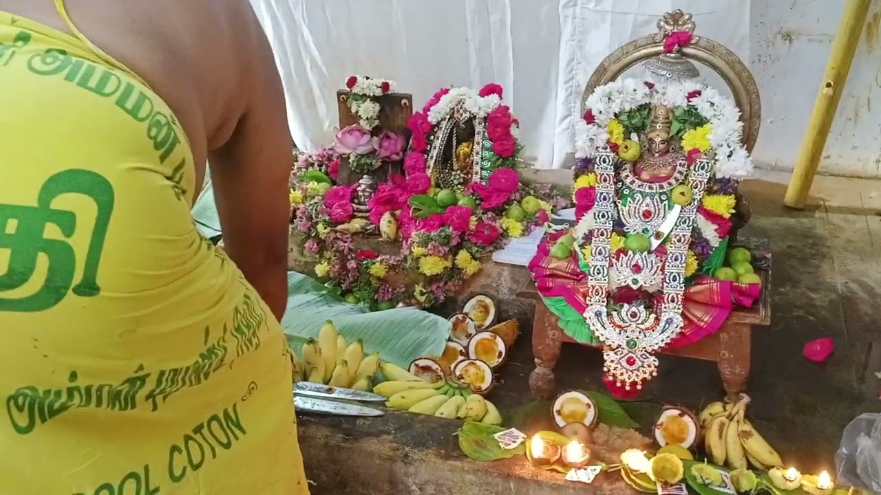 அமரகுந்தி ஸ்தல இராமலிங்க சௌடேஷ்வரி அம்மன் பங்குனி மாத அமாவாசை மகா தளிகை பூஜை