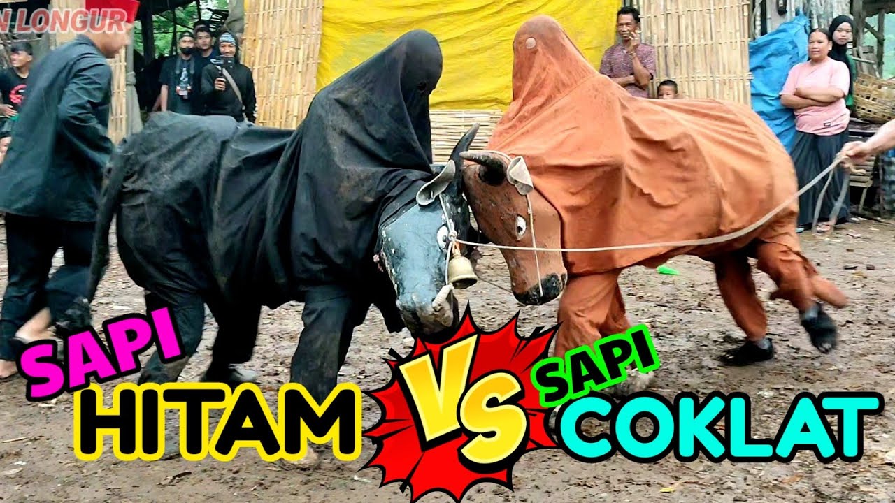 AMAIN PESAPEN MACAN BALAKEK HAMDIANS  BARU TAHUN 2024 _ UNDANGAN WALIMATUL KHITAN PART 3