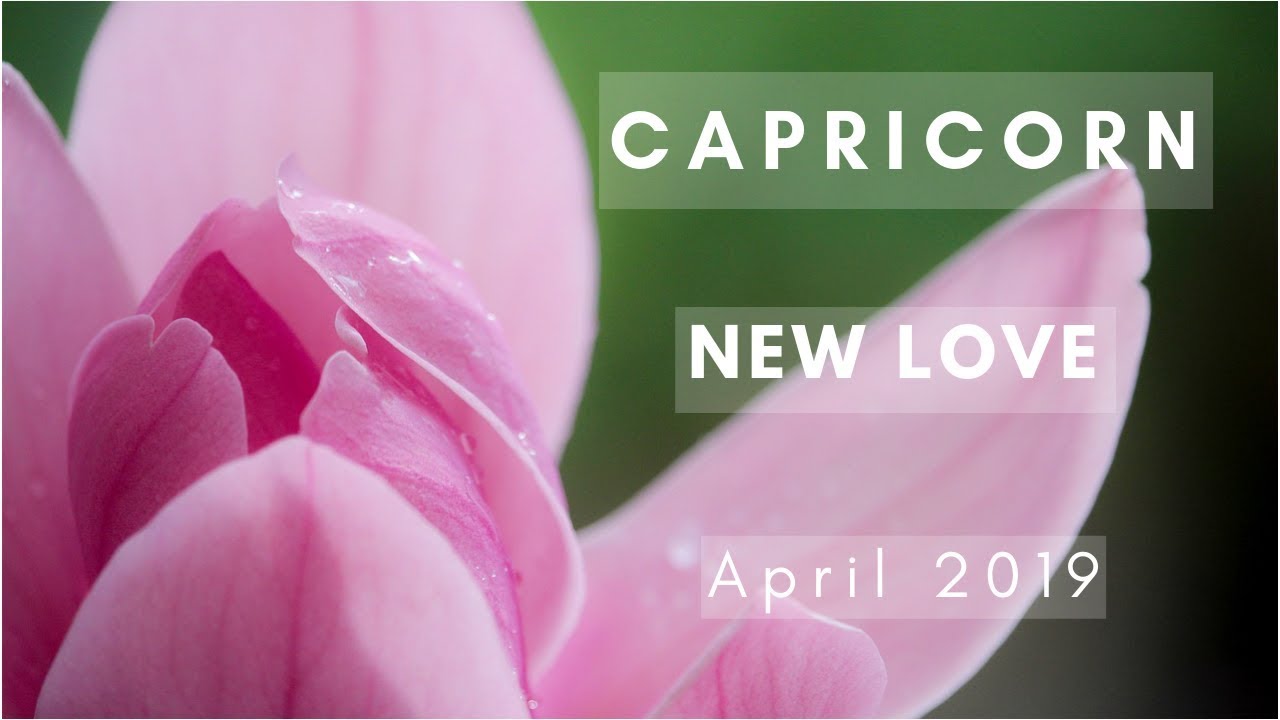 CAPRICORN: New Love! April 2019