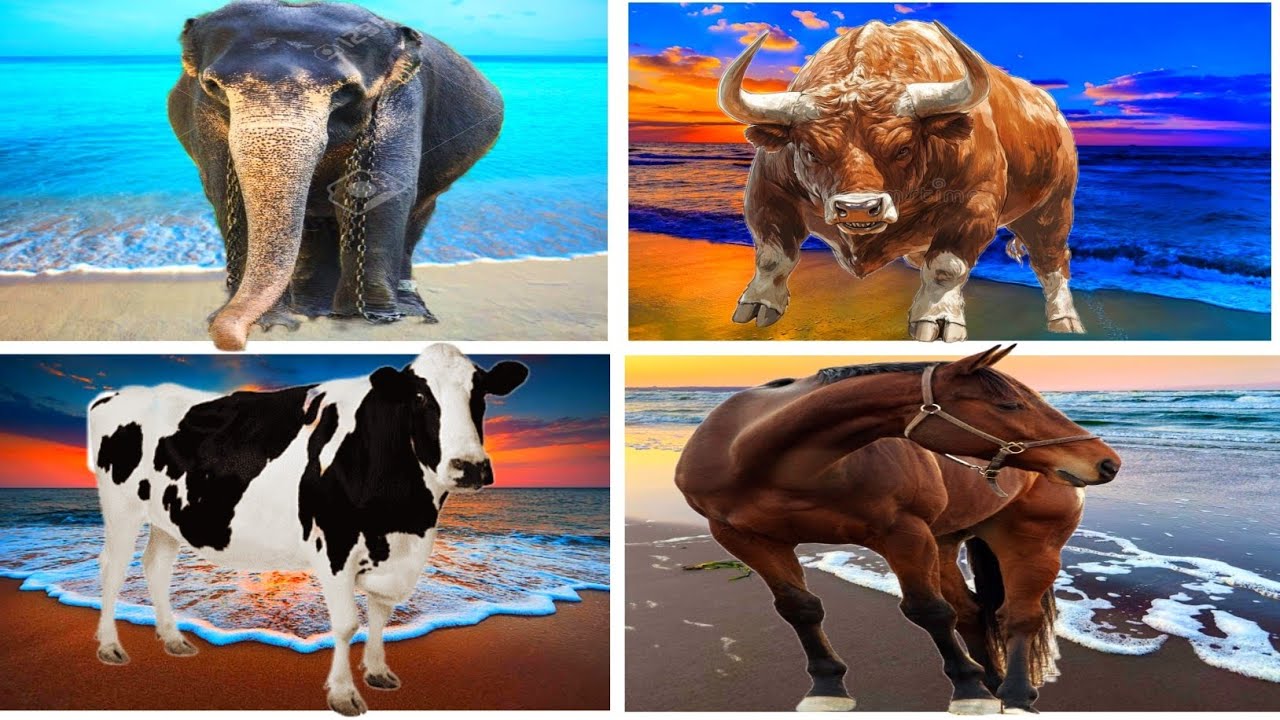 Tiles Hop - Mammoth🆚 Elephant 🆚 Funny Mammoth 🆚 Funny Elephant  🎶 Tiles Hop EDM Rush