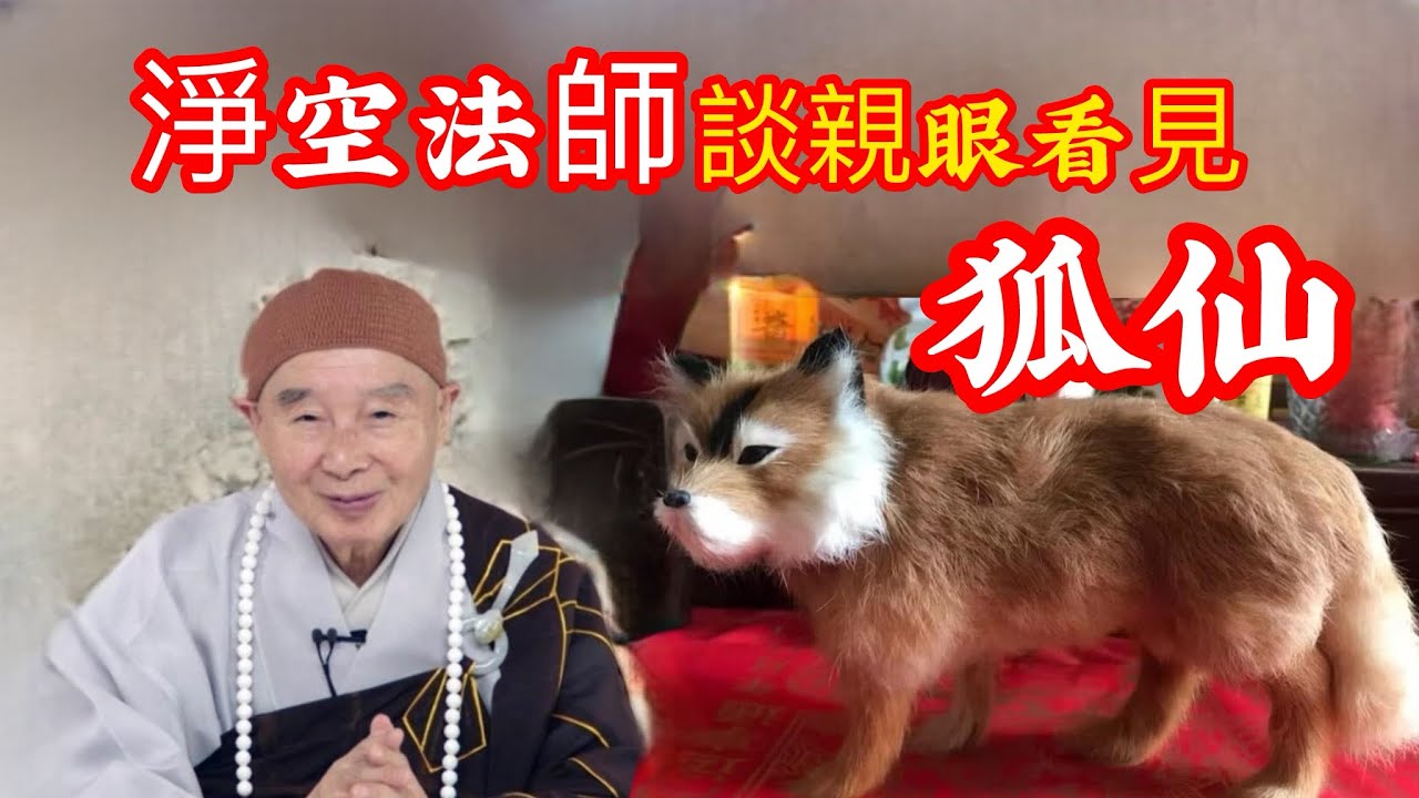 淨空法師在抗戰期間，親眼見到狐狸精，淨空法師說：