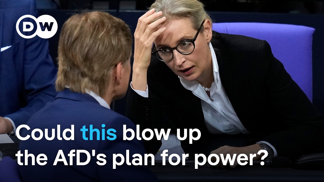 The dilemma that could test the AfD's rising popularity | DW News